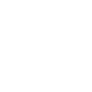 check icon